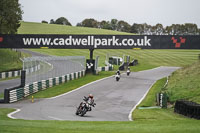 Middle Group Silver_Grey Bikes